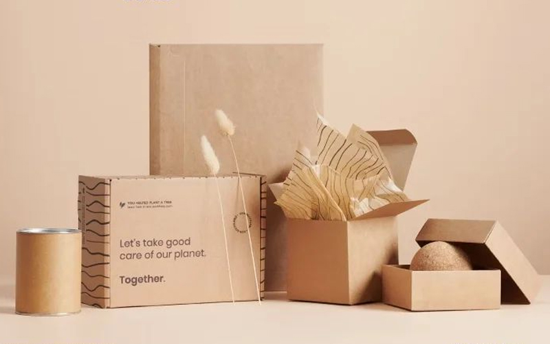 mẫu hộp giấy kraft